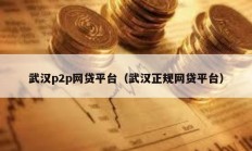 武漢p2p網貸平臺（武漢正規網貸平臺）