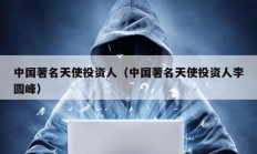 中國著名天使投資人（中國著名天使投資人李圓峰）