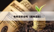 電網貸安全嗎（國網貸款）