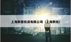 上海數君投資有限公司（上海數銘）