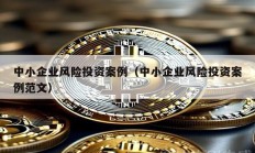 中小企業(yè)風(fēng)險投資案例（中小企業(yè)風(fēng)險投資案例范文）