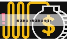 網(wǎng)貸融資（網(wǎng)貸融資擔保）