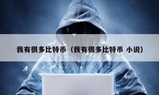 我有很多比特幣（我有很多比特幣 小說(shuō)）