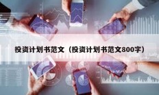 投資計劃書范文（投資計劃書范文800字）