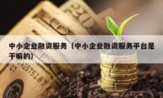 中小企業(yè)融資服務(wù)（中小企業(yè)融資服務(wù)平臺(tái)是干嘛的）