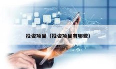 投資項目（投資項目有哪些）