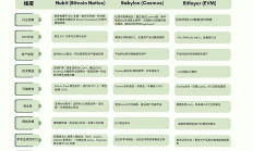 比特幣擴容方案現(xiàn)狀與比特幣的重磅升級