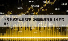 風險投資商業計劃書（風險投資商業計劃書范文）