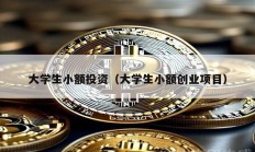 大學生小額投資（大學生小額創業項目）