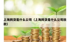 上海網貸是什么公司（上海網貸是什么公司放款）