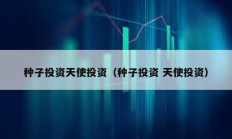 種子投資天使投資（種子投資 天使投資）