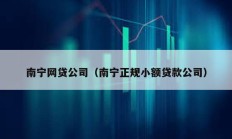 南寧網貸公司（南寧正規小額貸款公司）