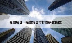 投資項目（投資項目可行性研究指南）