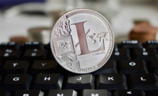 2014萊特幣價(jià)格,萊特幣2024能漲到多少呢