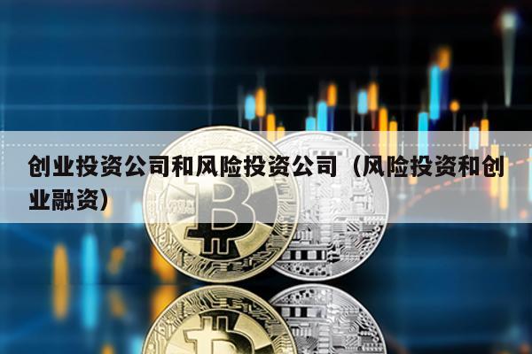 創業投資公司和風險投資公司(風險投資和創業融資)