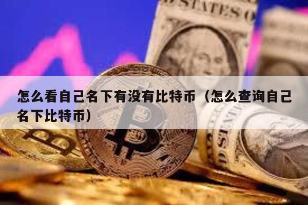 怎么看自己名下有沒有比特幣(怎么查詢自己名下比特幣)