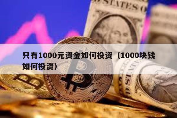 只有1000元資金如何投資(1000塊錢如何投資)