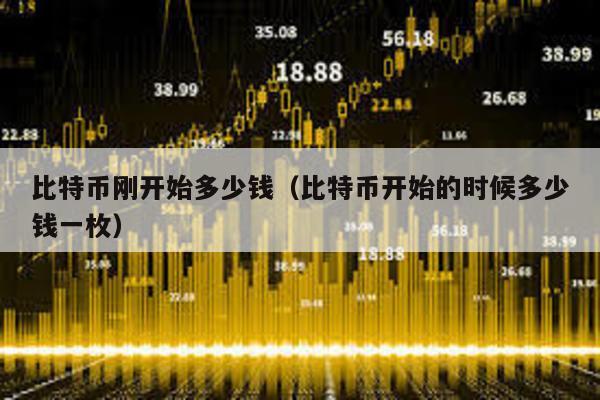 比特幣剛開始多少錢(比特幣開始的時候多少錢一枚)