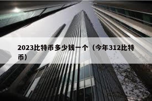 2023比特幣多少錢一個(今年312比特幣)