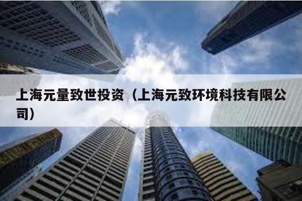 上海元量致世投資(上海元致環(huán)境科技有限公司)