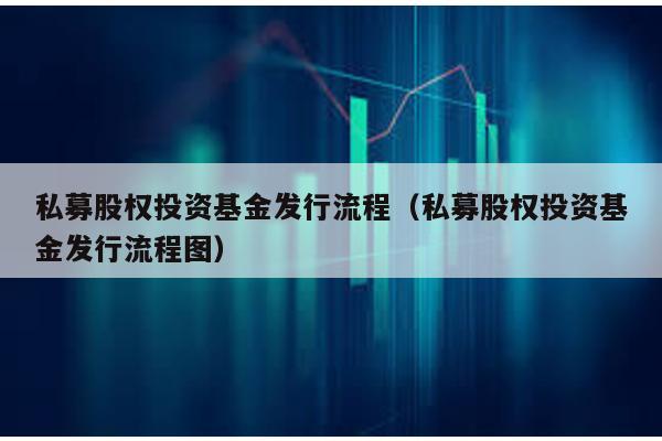 私募股權投資基金發行流程(私募股權投資基金發行流程圖)