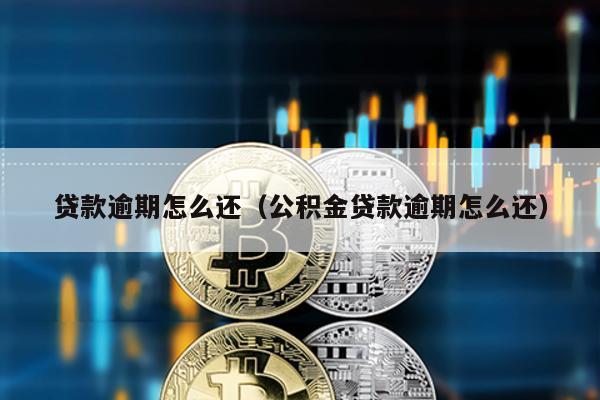 貸款逾期怎么還(公積金貸款逾期怎么還)