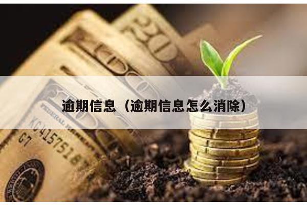 逾期信息(逾期信息怎么消除)