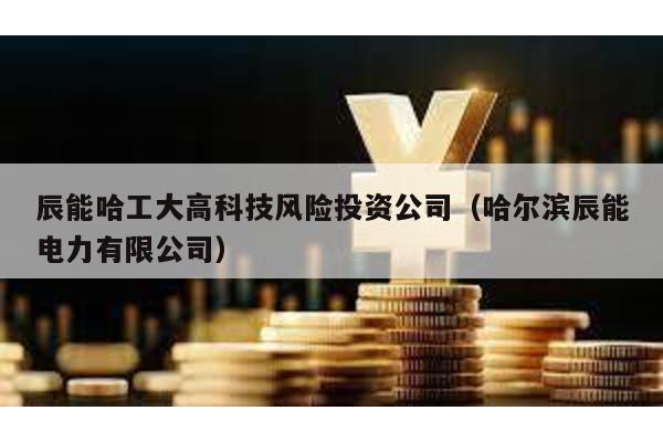 辰能哈工大高科技風險投資公司(哈爾濱辰能電力有限公司)