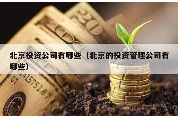 北京投資公司有哪些(北京的投資管理公司有哪些)