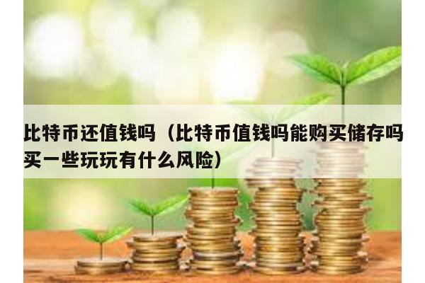 比特幣還值錢(qián)嗎(比特幣值錢(qián)嗎能購(gòu)買(mǎi)儲(chǔ)存嗎買(mǎi)一些玩玩有什么風(fēng)險(xiǎn))