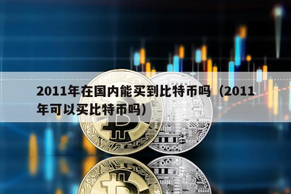 2011年在國內能買到比特幣嗎(2011年可以買比特幣嗎)