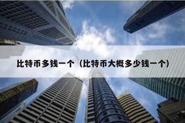 比特幣多錢一個(比特幣大概多少錢一個)