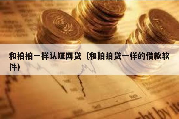 和拍拍一樣認證網貸(和拍拍貸一樣的借款軟件)