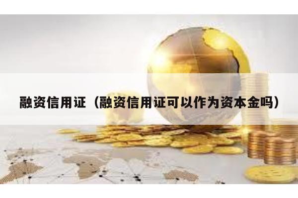 融資信用證(融資信用證可以作為資本金嗎)