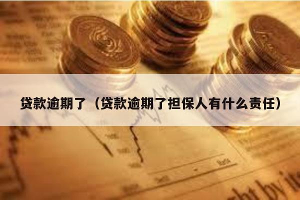 貸款逾期了(貸款逾期了擔保人有什么責任)