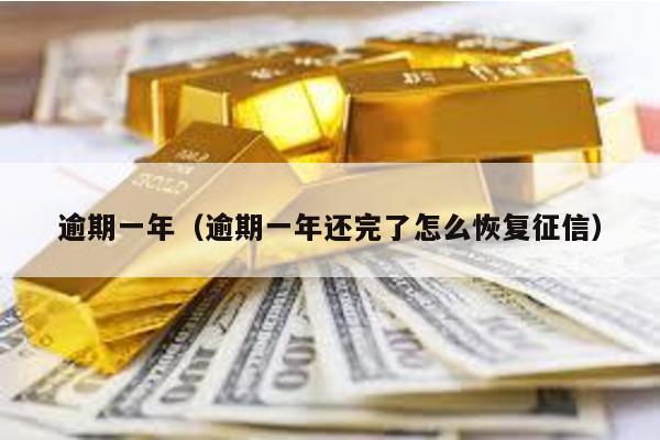 逾期一年(逾期一年還完了怎么恢復征信)
