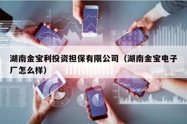湖南金寶利投資擔(dān)保有限公司(湖南金寶電子廠怎么樣)