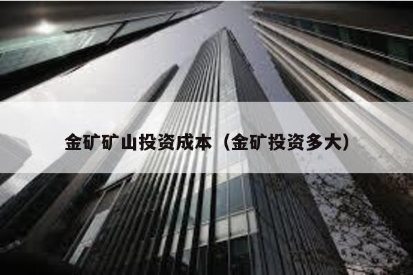 金礦礦山投資成本(金礦投資多大)