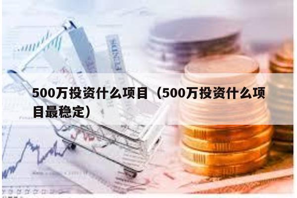 500萬投資什么項目(500萬投資什么項目最穩定)