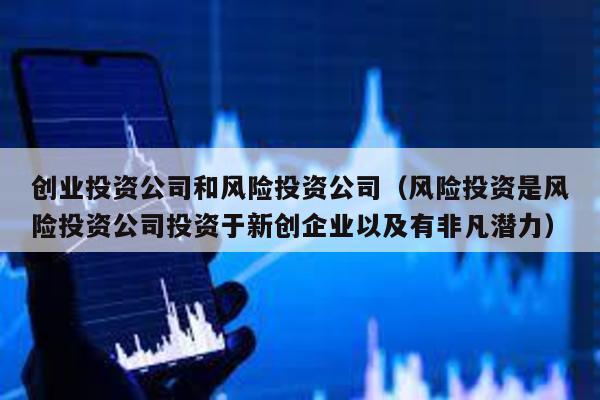 創業投資公司和風險投資公司(風險投資是風險投資公司投資于新創企業以及有非凡潛力)