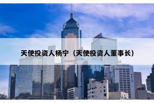 天使投資人楊寧(天使投資人董事長)