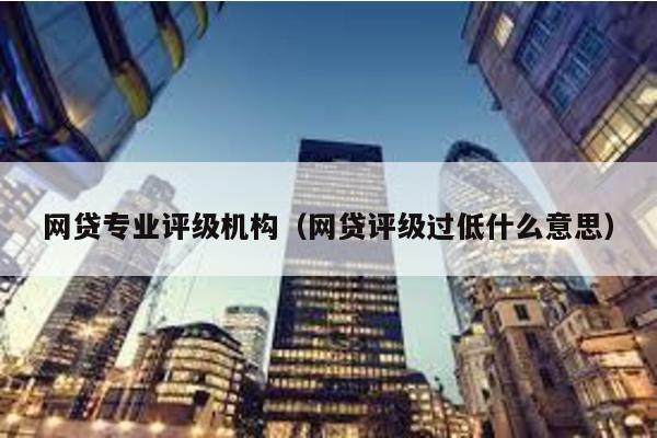 網貸專業評級機構(網貸評級過低什么意思)