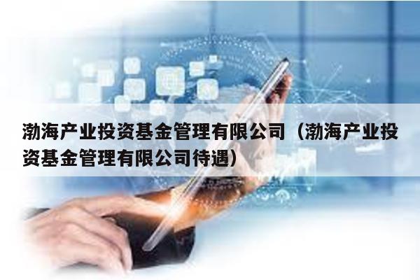 渤海產(chǎn)業(yè)投資基金管理有限公司(渤海產(chǎn)業(yè)投資基金管理有限公司待遇)