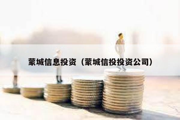 蒙城信息投資(蒙城信投投資公司)